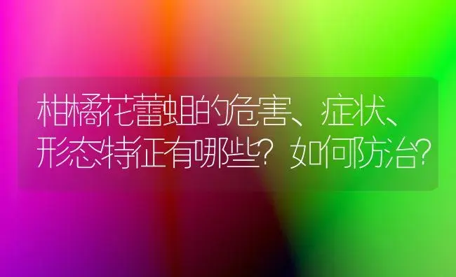 柑橘花蕾蛆的危害、症状、形态特征有哪些？如何防治？ | 植物百科