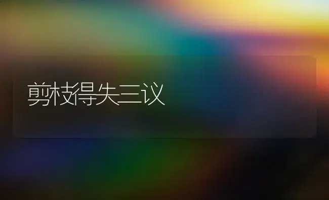 剪枝得失三议 | 植物科普