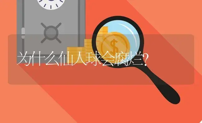为什么仙人球会腐烂? | 植物知识