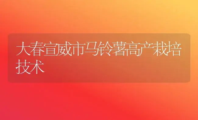 大春宣威市马铃薯高产栽培技术 | 植物科普