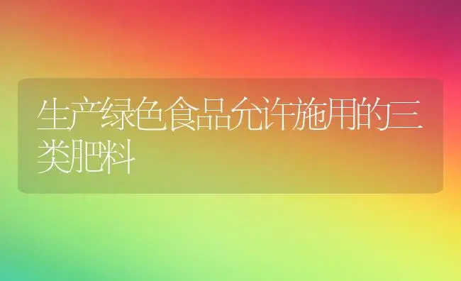 富贵竹的栽培 (图) | 植物科普