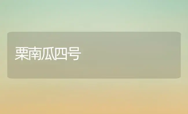 栗南瓜四号 | 植物百科