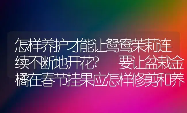 怎样养护才能让鸳鸯茉莉连续不断地开花? 要让盆栽金橘在春节挂果应怎样修剪和养护? | 植物科普