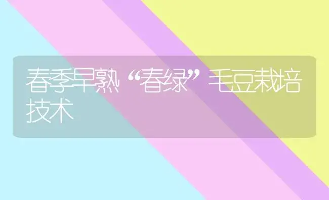 春季早熟“春绿”毛豆栽培技术 | 植物百科