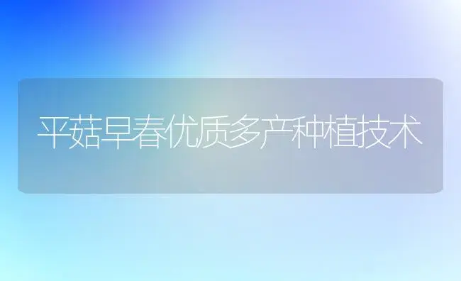 平菇早春优质多产种植技术 | 植物科普