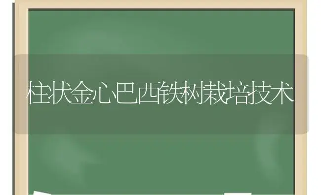 柱状金心巴西铁树栽培技术 | 植物科普