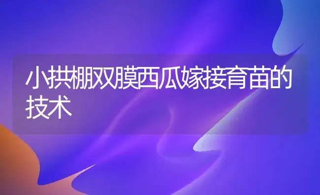 小拱棚双膜西瓜嫁接育苗的技术 | 植物科普