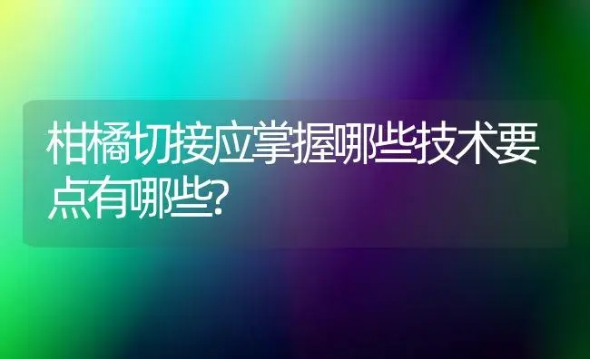 柑橘切接应掌握哪些技术要点有哪些? | 植物科普