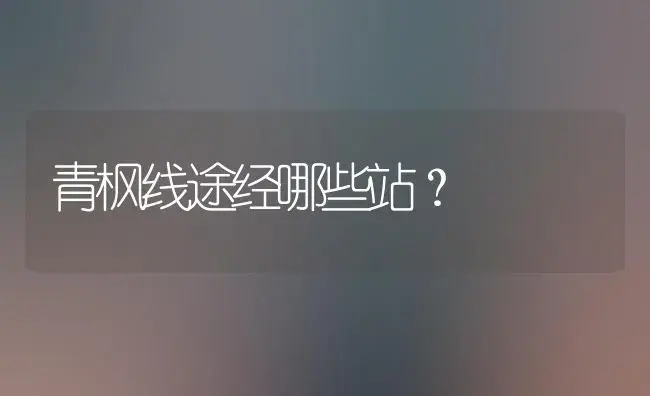 青枫线途经哪些站？ | 植物问答