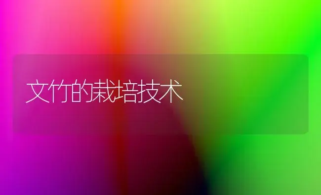 文竹的栽培技术 | 植物知识