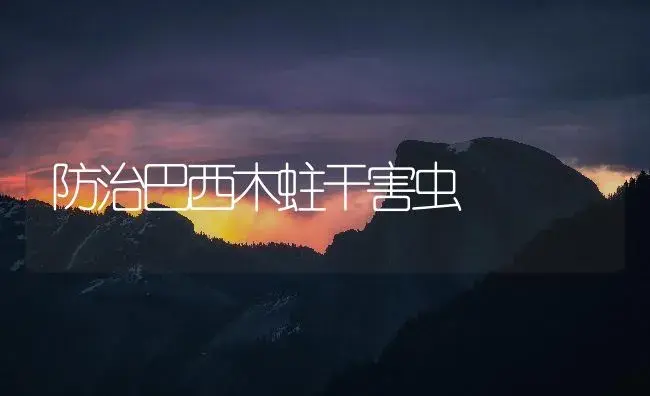 防治巴西木蛀干害虫 | 植物知识