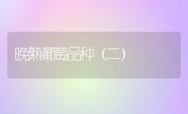 晚熟葡萄品种（二） | 植物百科