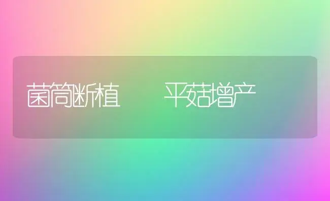 菌筒断植  平菇增产 | 植物科普
