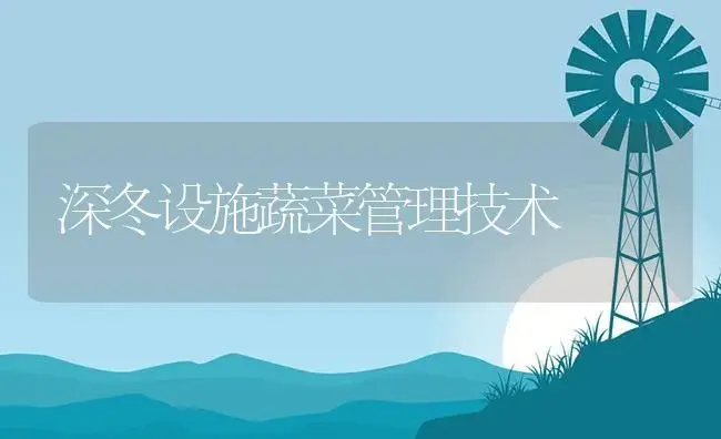 深冬设施蔬菜管理技术 | 植物资料