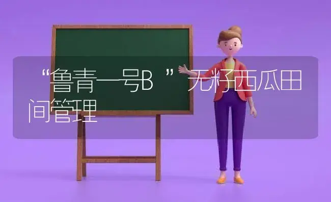 “鲁青一号B”无籽西瓜田间管理　　 | 植物科普