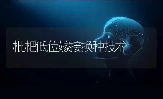 枇杷低位嫁接换种技术 | 植物科普