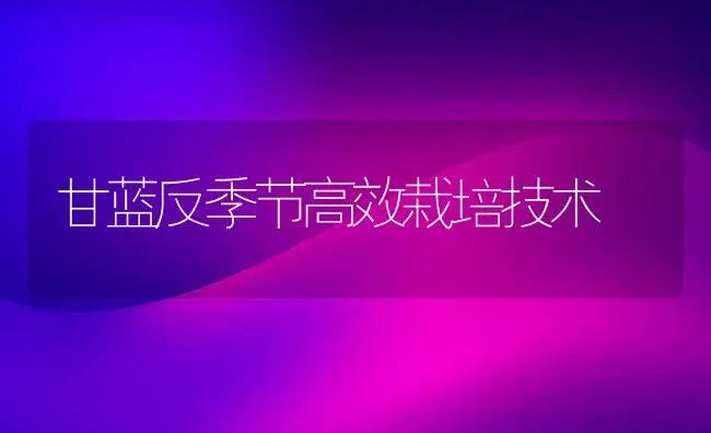 甘蓝反季节高效栽培技术 | 植物科普