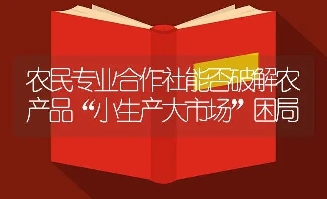 农民专业合作社能否破解农产品“小生产大市场”困局 | 植物百科