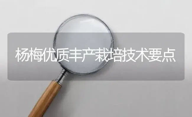 杨梅优质丰产栽培技术要点 | 植物百科