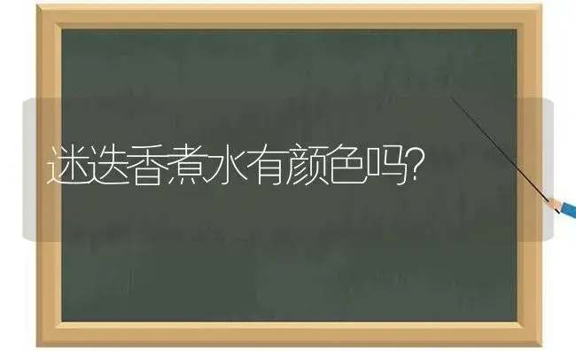 迷迭香煮水有颜色吗？ | 植物问答