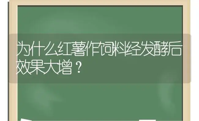 为什么红薯作饲料经发酵后效果大增？ | 植物科普