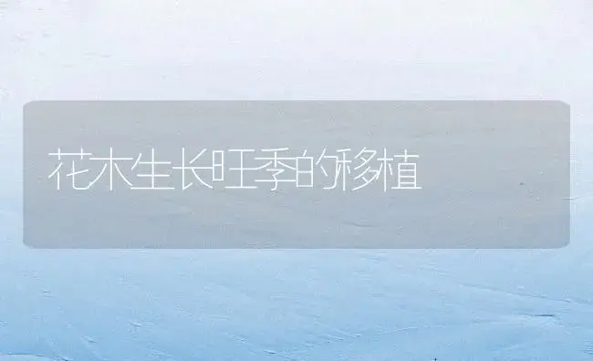 花木生长旺季的移植 | 植物知识