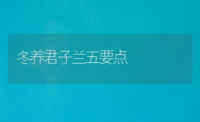 冬养君子兰五要点 | 植物知识