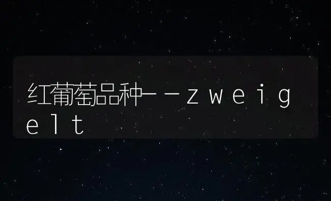 红葡萄品种--zweigelt | 植物百科