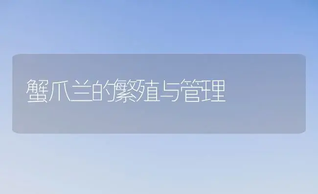 蟹爪兰的繁殖与管理 | 植物知识