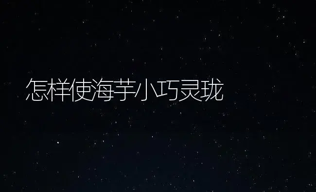 怎样使海芋小巧灵珑 | 植物知识