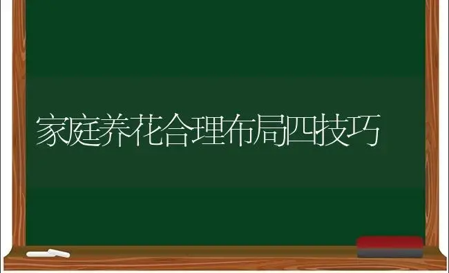 家庭养花合理布局四技巧 | 植物科普