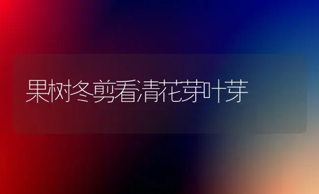 盆栽火龙果收果后的管理与过冬 | 植物科普