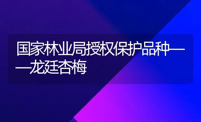 国家林业局授权保护品种——龙廷杏梅 | 植物科普