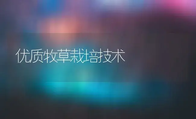 优质牧草栽培技术 | 植物科普