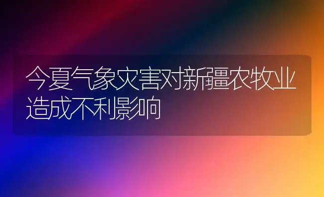 今夏气象灾害对新疆农牧业造成不利影响 | 植物科普