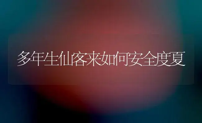 多年生仙客来如何安全度夏 | 植物知识