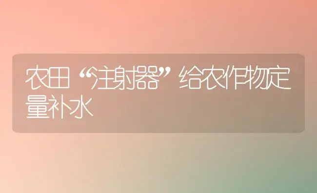 农田“注射器”给农作物定量补水 | 植物百科