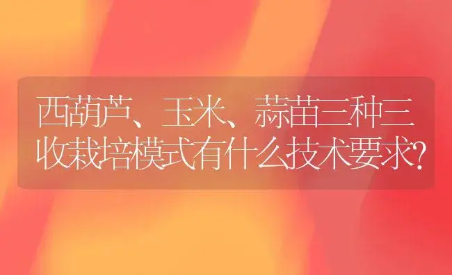 西葫芦、玉米、蒜苗三种三收栽培模式有什么技术要求？ | 植物科普