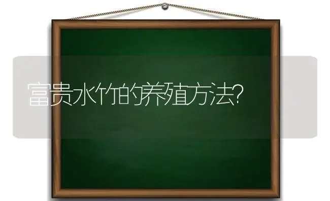 富贵水竹的养殖方法？ | 植物问答