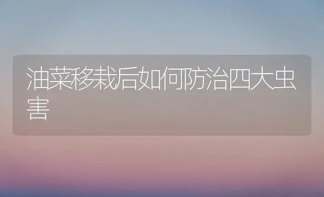 油菜移栽后如何防治四大虫害 | 植物科普