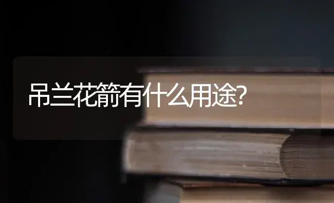 大叶绿萝的秘密？ | 植物问答