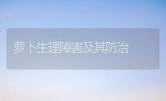 萝卜生理障害及其防治 | 植物科普