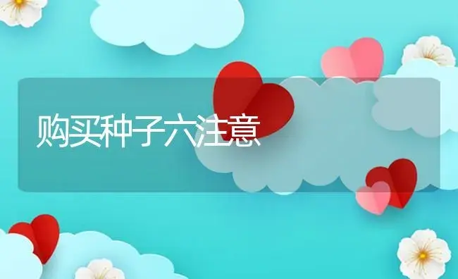 购买种子六注意 | 植物资料