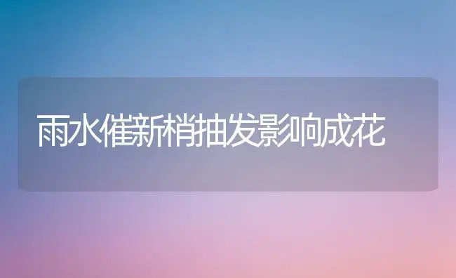 雨水催新梢抽发影响成花 | 植物科普