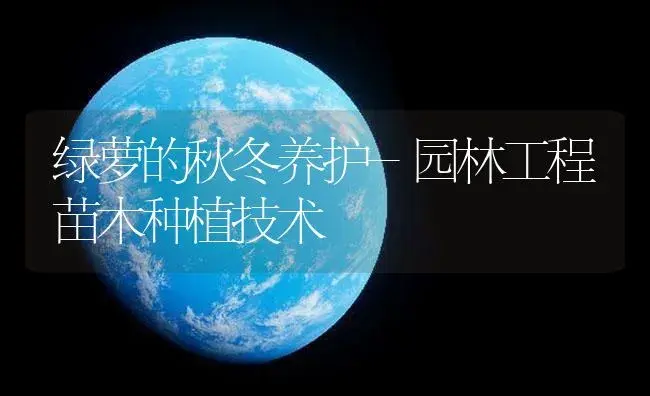 绿萝的秋冬养护-园林工程苗木种植技术 | 植物知识