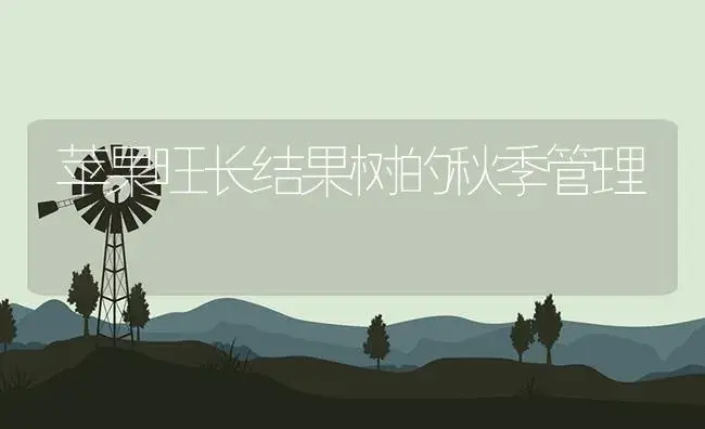 苹果旺长结果树的秋季管理 | 植物资料