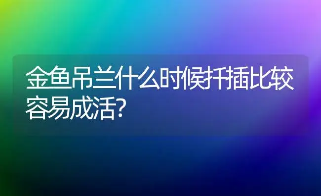 金鱼吊兰什么时候扦插比较容易成活？ | 植物问答