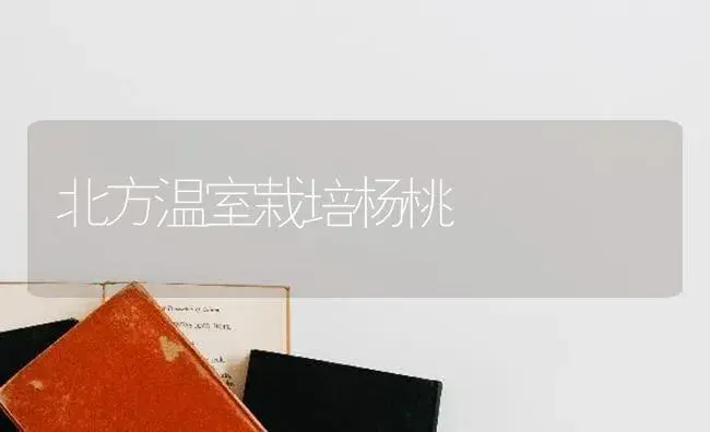 北方温室栽培杨桃 | 植物科普