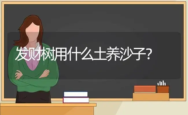 凤尾竹叶子发黄打卷？ | 植物问答