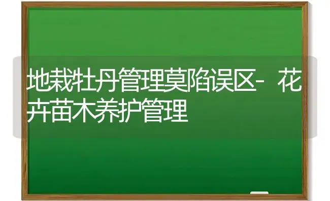 地栽牡丹管理莫陷误区-花卉苗木养护管理 | 植物科普